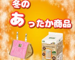 寒さ対策万全ですか!?